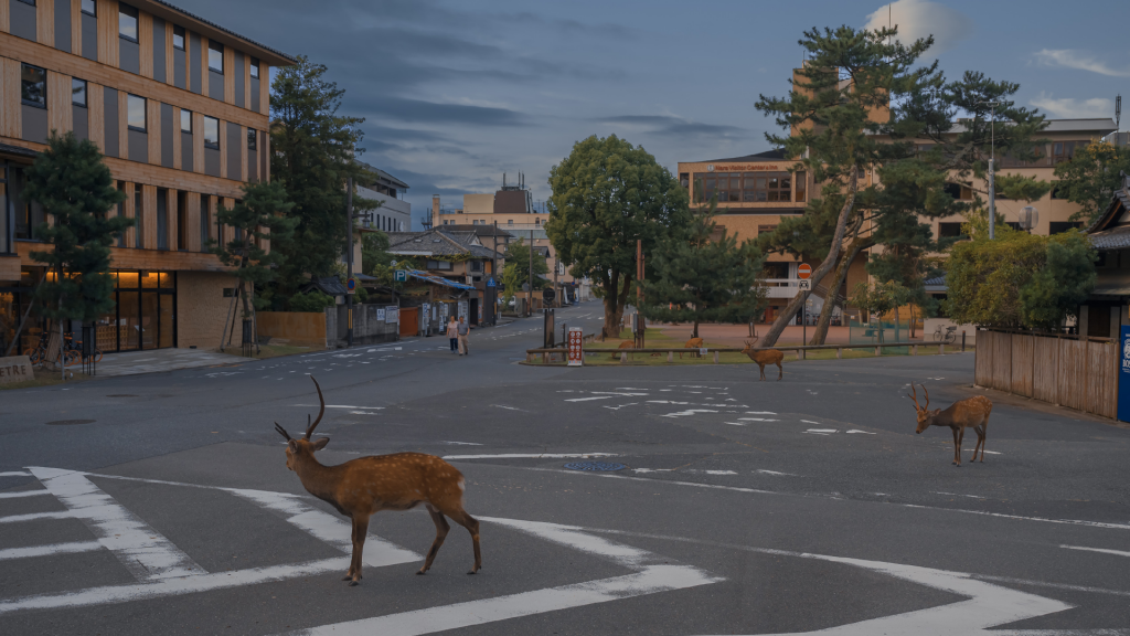 日本街头的唯美日暮