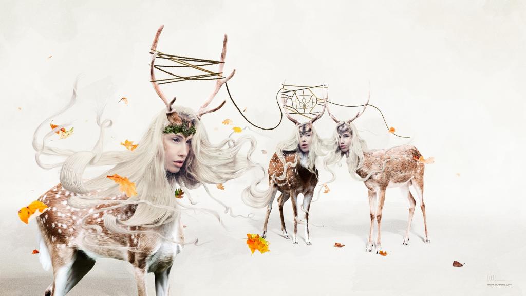 2012艺术创意设计