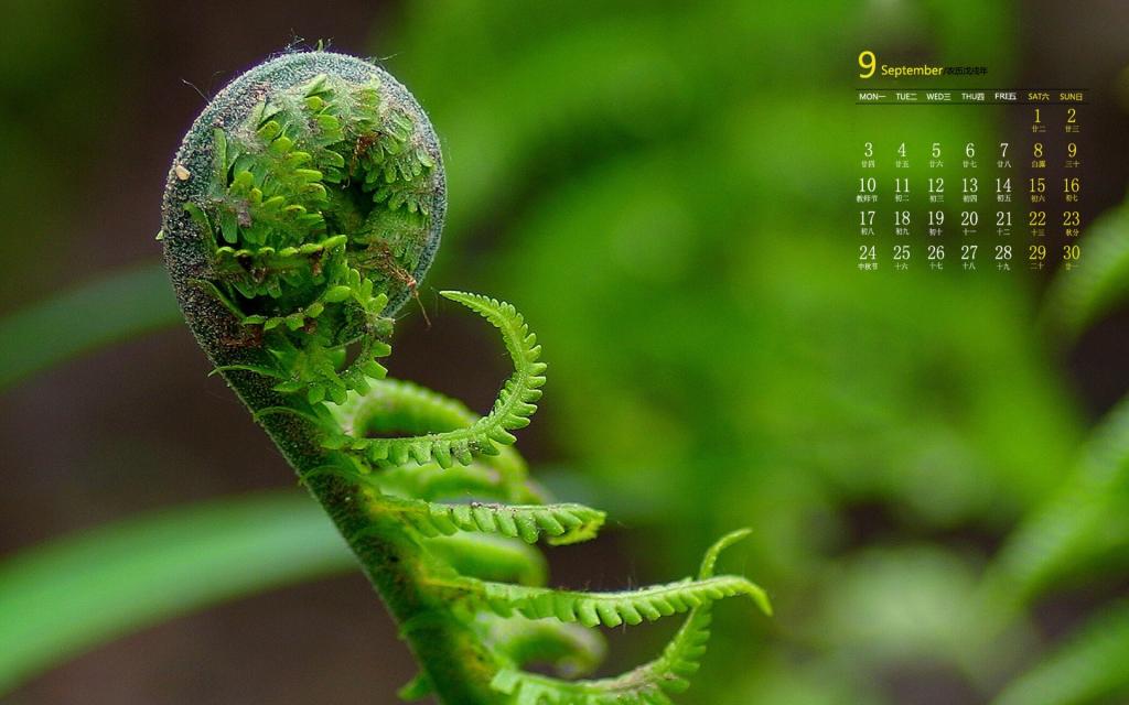 2018年9月绿色小清新植物写真日历