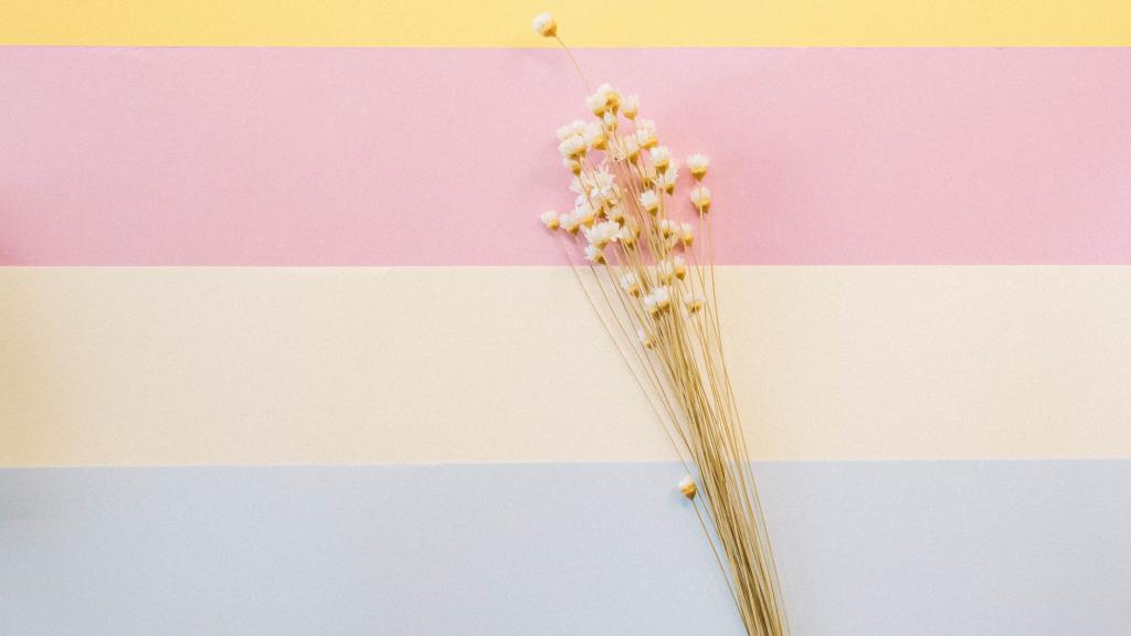 温馨的干花背景