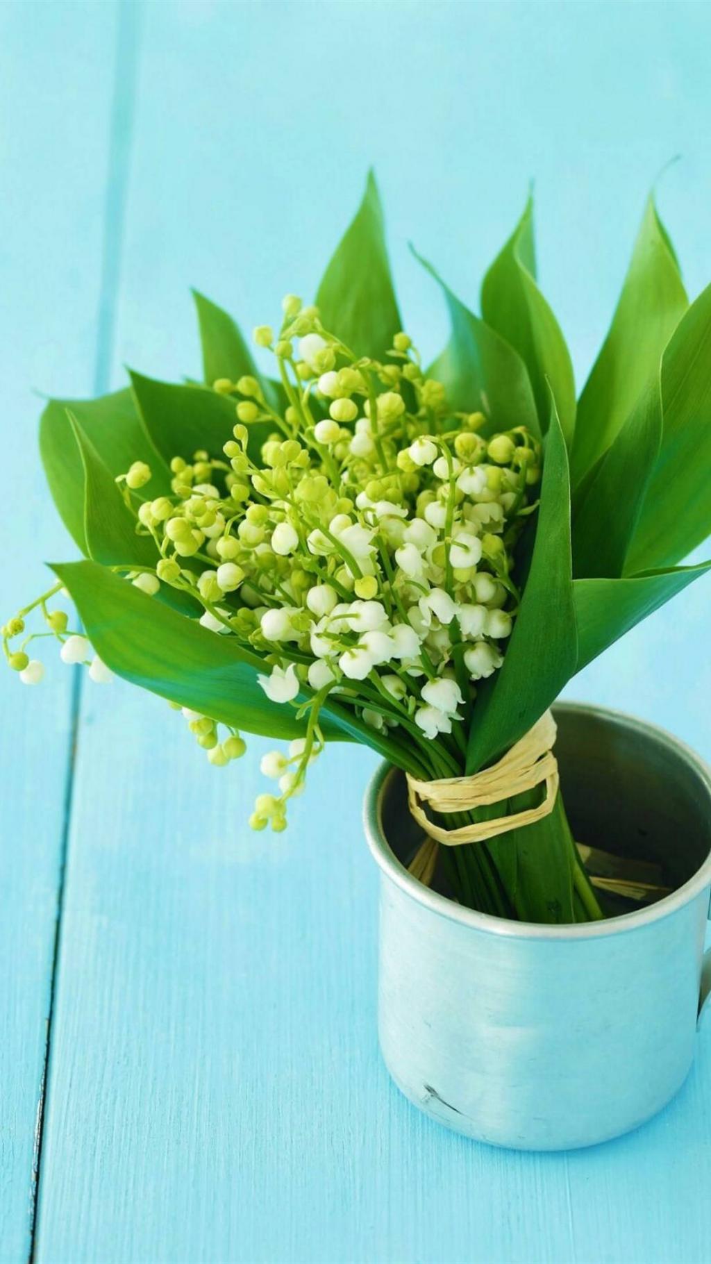 清新色调家居静物