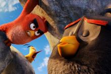 电影《愤怒的小鸟》