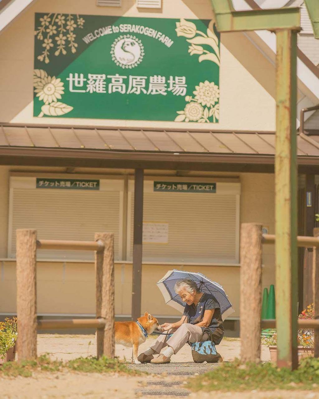 老人与犬温馨治愈系写真