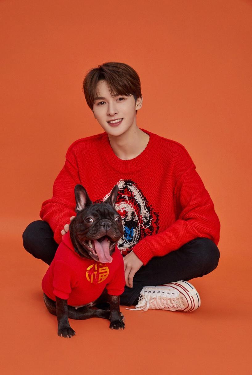 朱正廷与宠物的日常状态