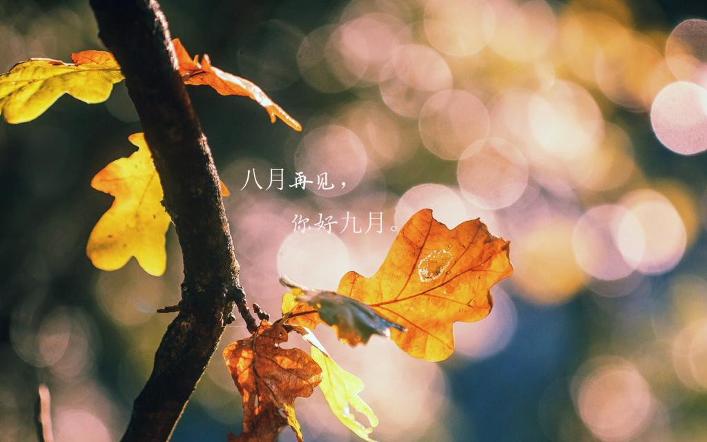 再见八月,你好九月