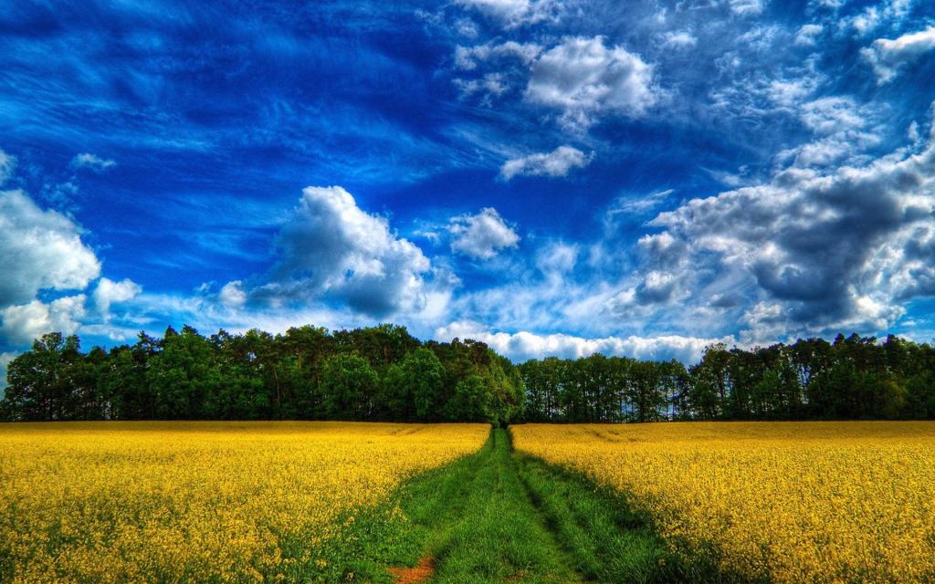 天空下的唯美风景