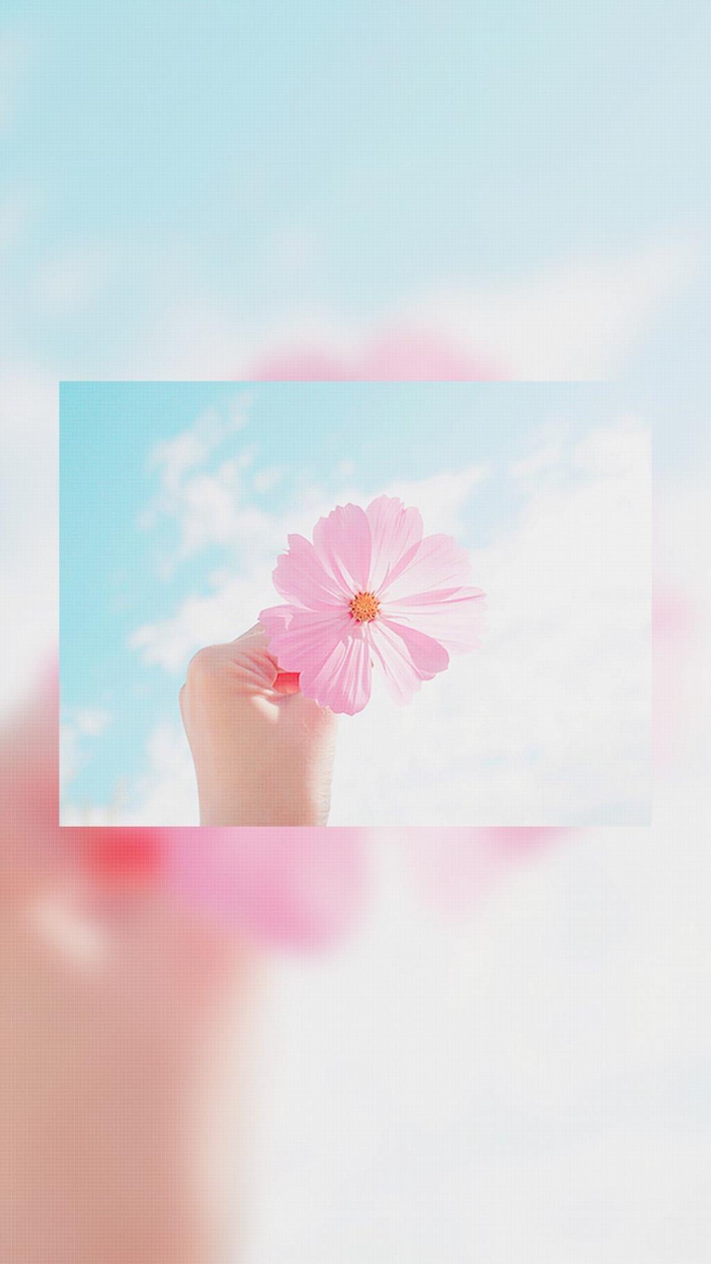 唯美个性清新背景