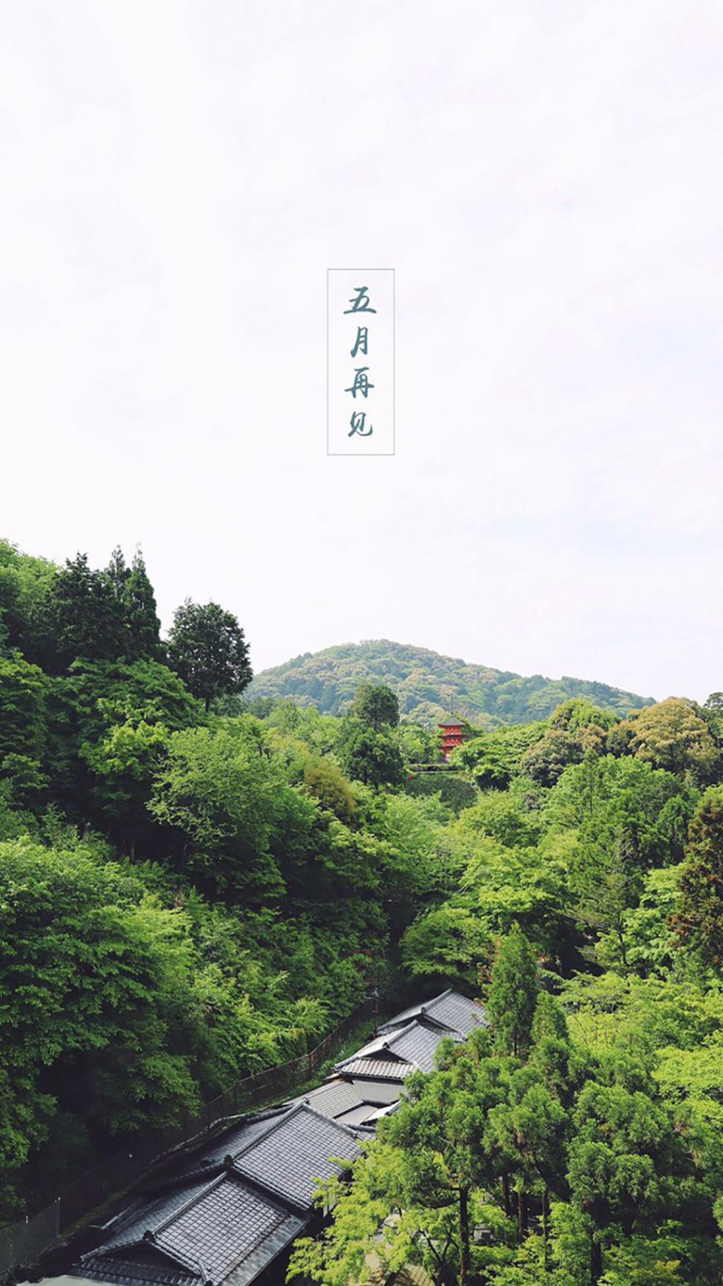 5月再见 6月你好