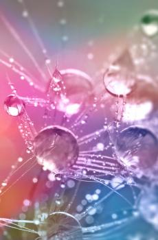 iPhone7内置壁纸-4