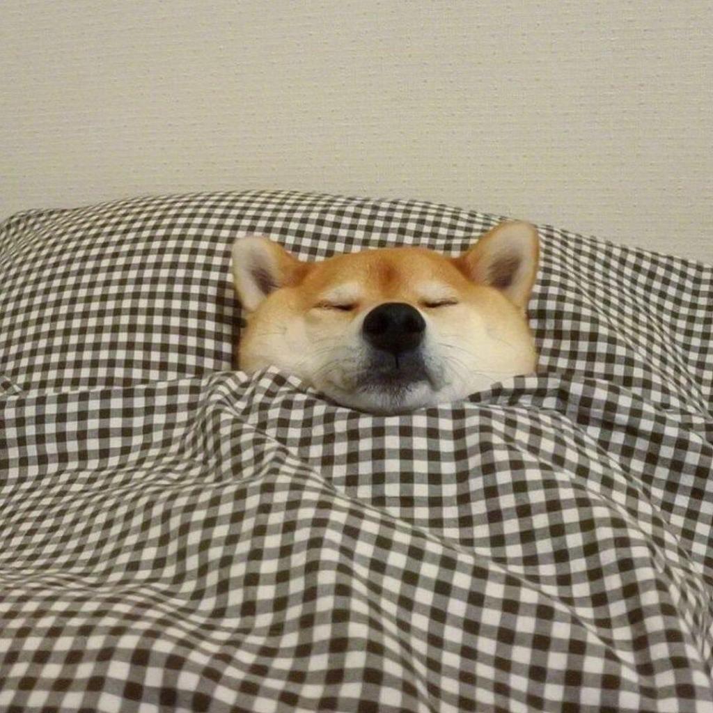 应该规定冬天禁止起床