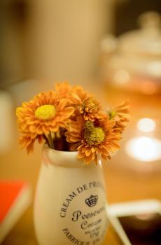 室内唯美静物-2