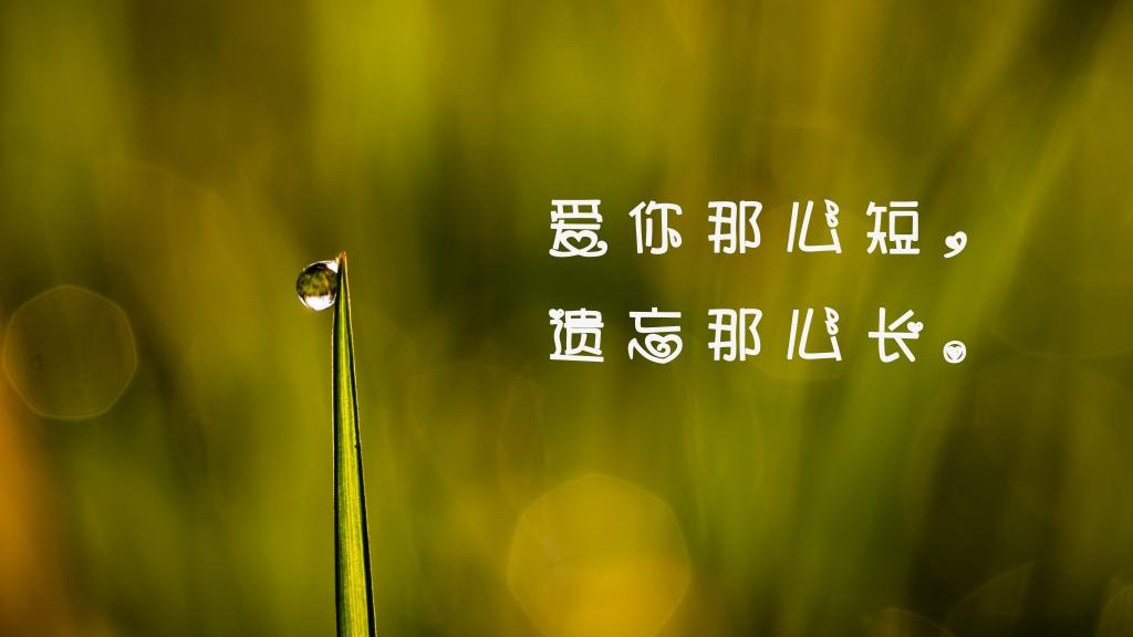 治愈系短句唯美清新图片