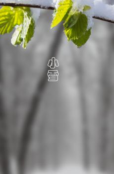 小雪分为三候-0