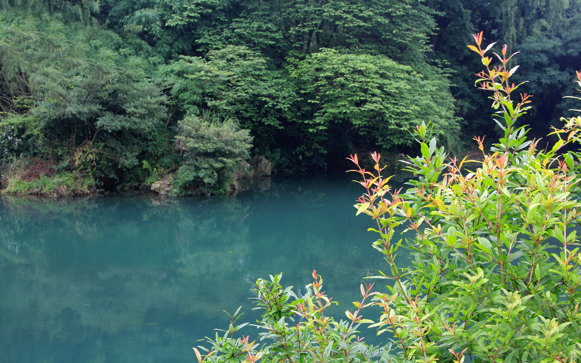 旅游渡假胜地花溪公园