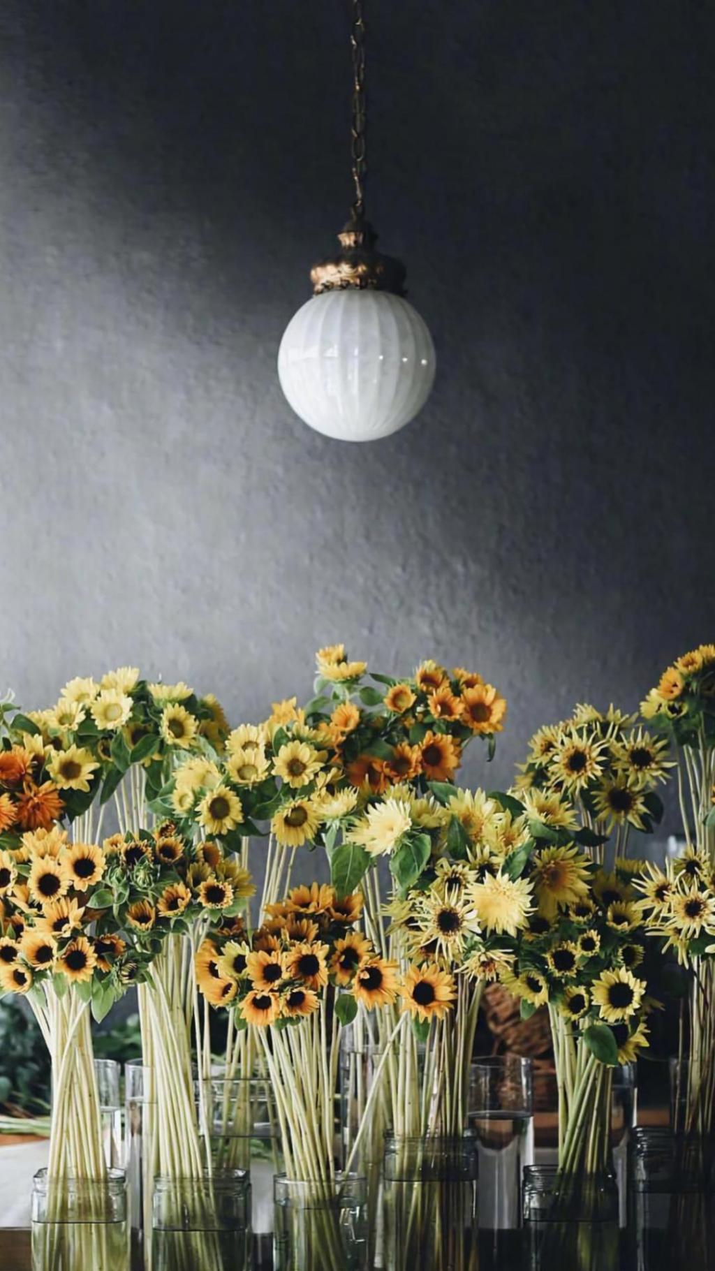 小清新迷人的花朵