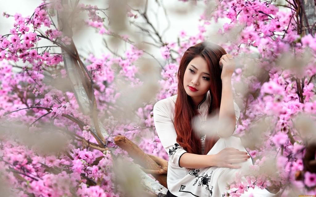 如花似玉的美人很倾城