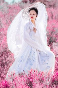 仙气十足的气质古装美女-0