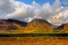 美国丹那利国家公园