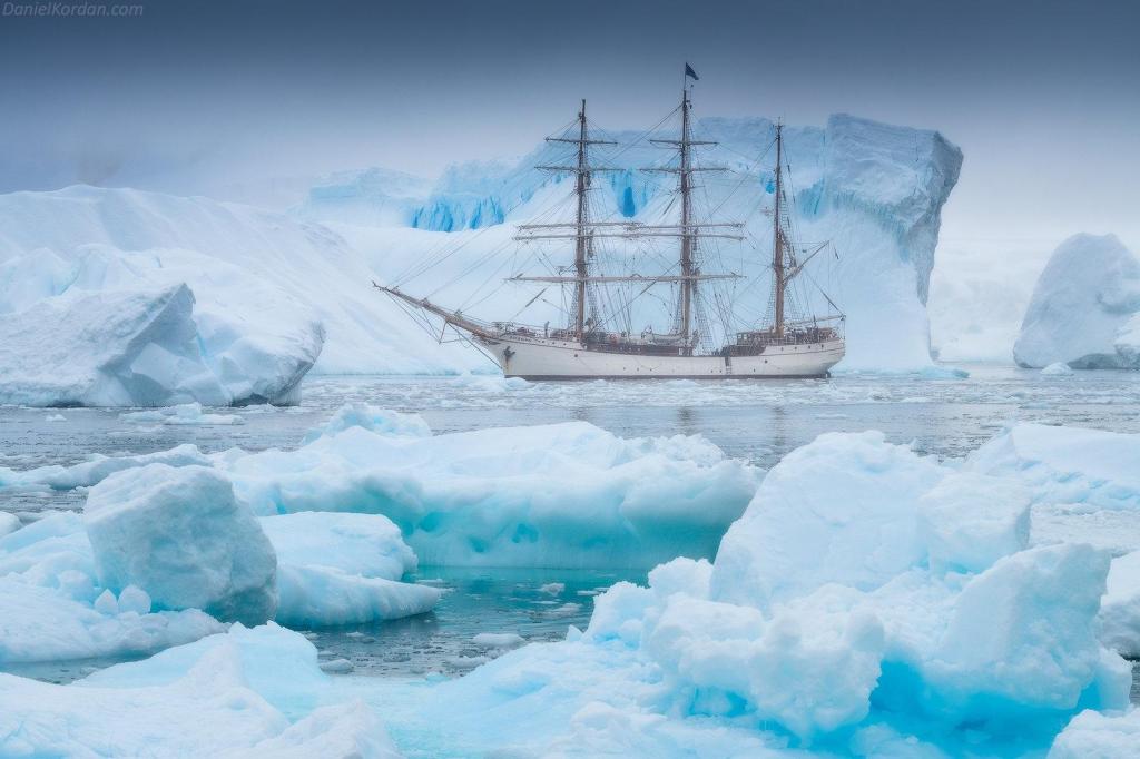 遇见艺术南极洲绿雪