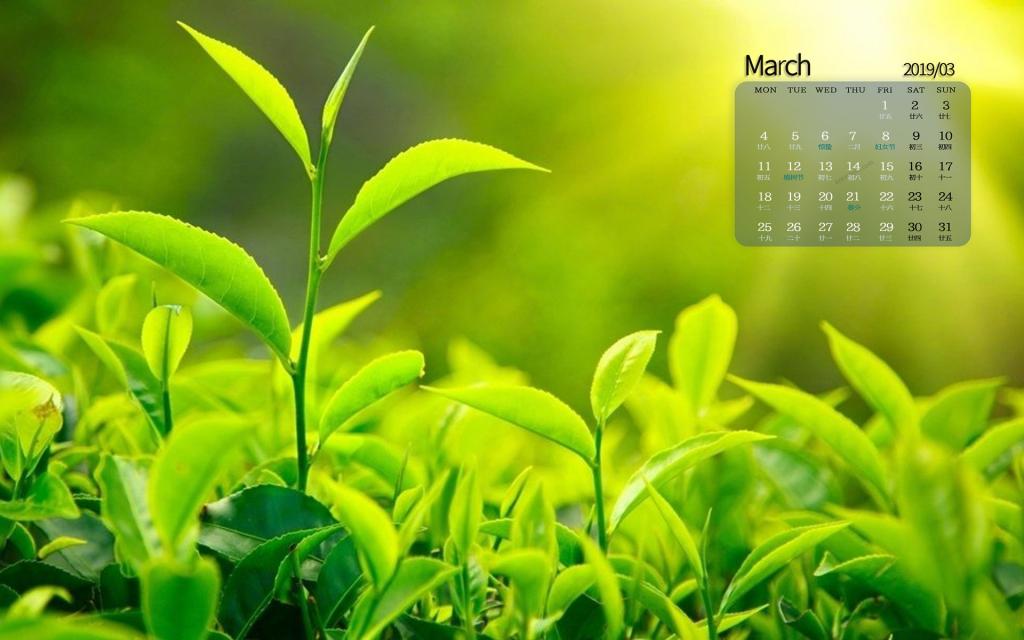 2019年3月绿色满人间日历