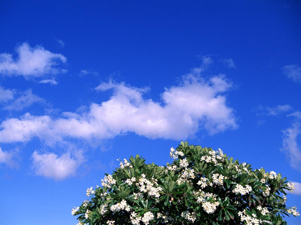 草原上的晴空万里