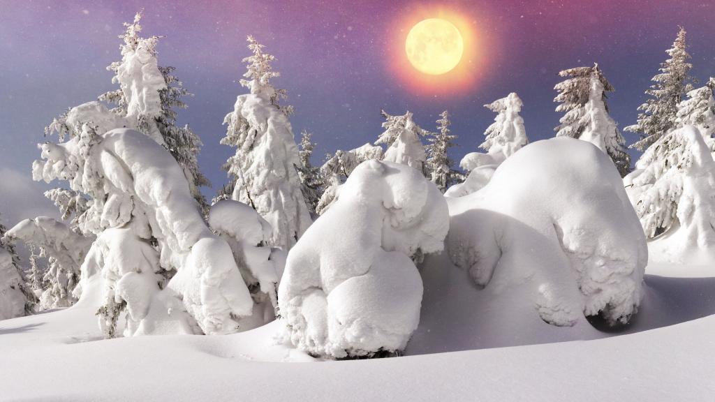 大雪纷飞的森林