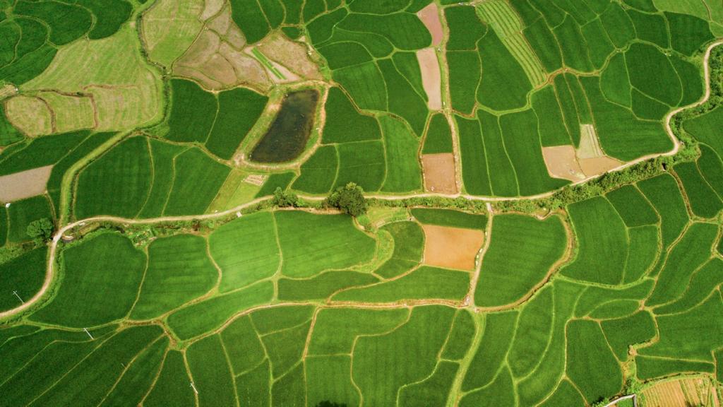 航拍田野清新护眼风景