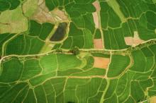 航拍田野清新护眼风景