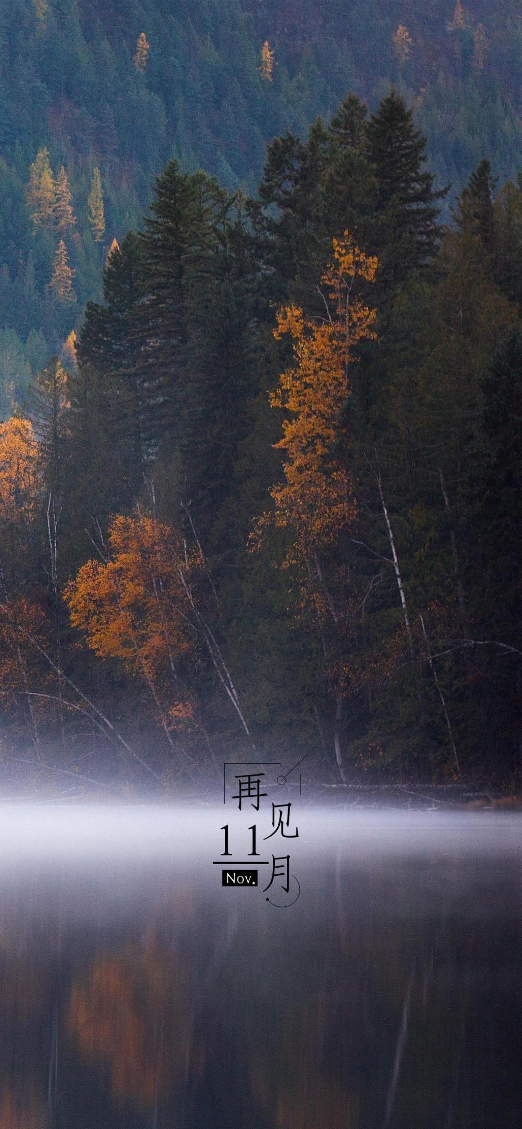 再见,十一月