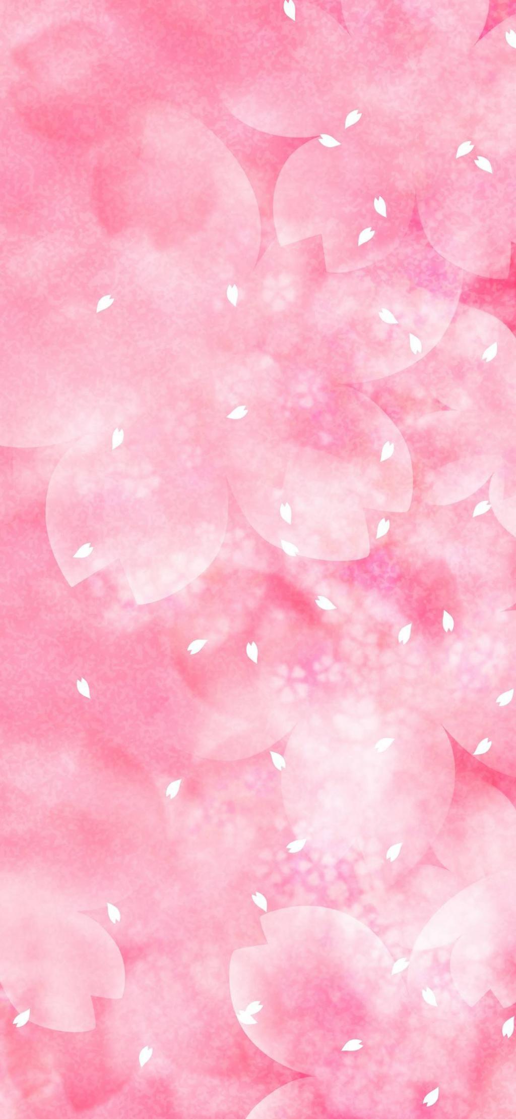 樱花初开转眼凋落