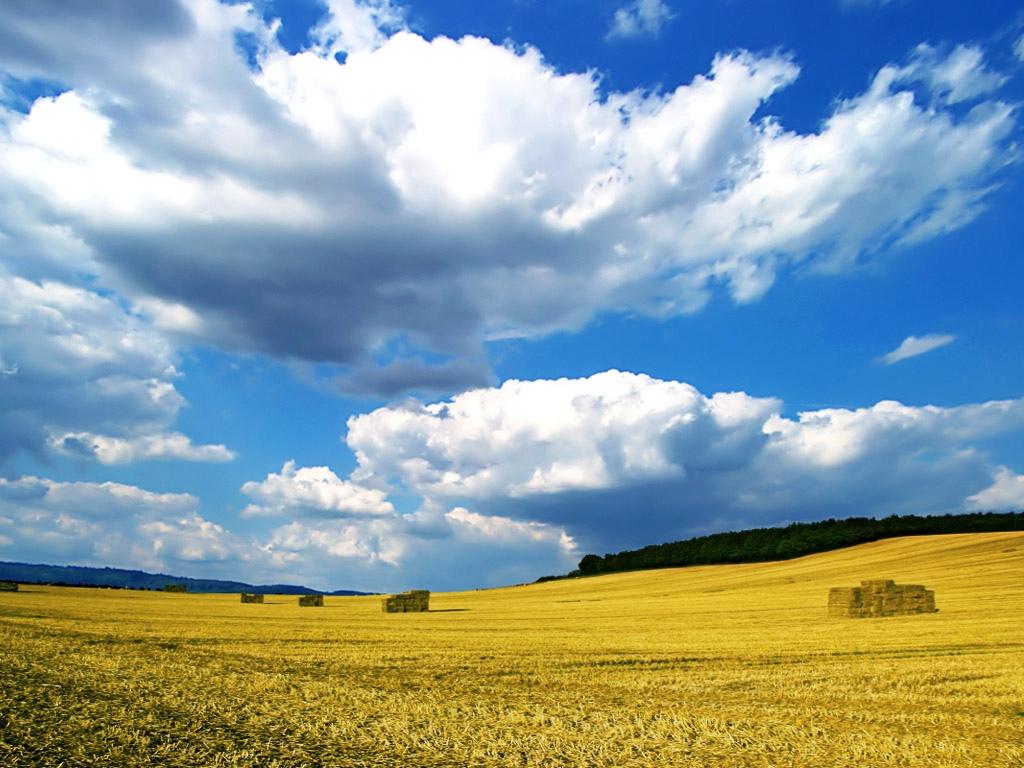 田园上空飘着红霞云朵