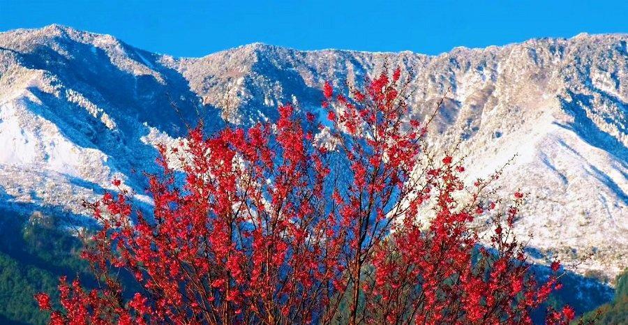 苍山雪遇见洱海蓝