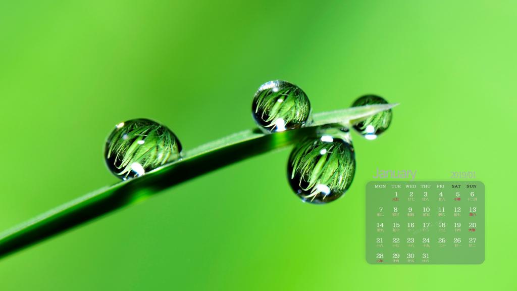 2019年1月小清新绿色植物护眼写真日历