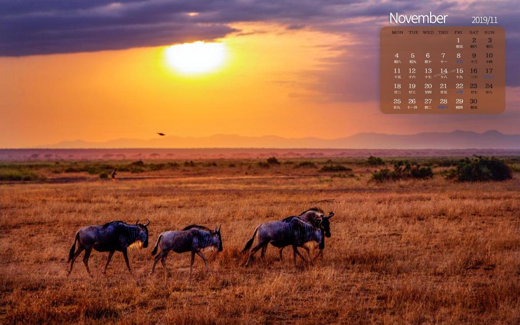 2019年11月金色非洲大草原日历
