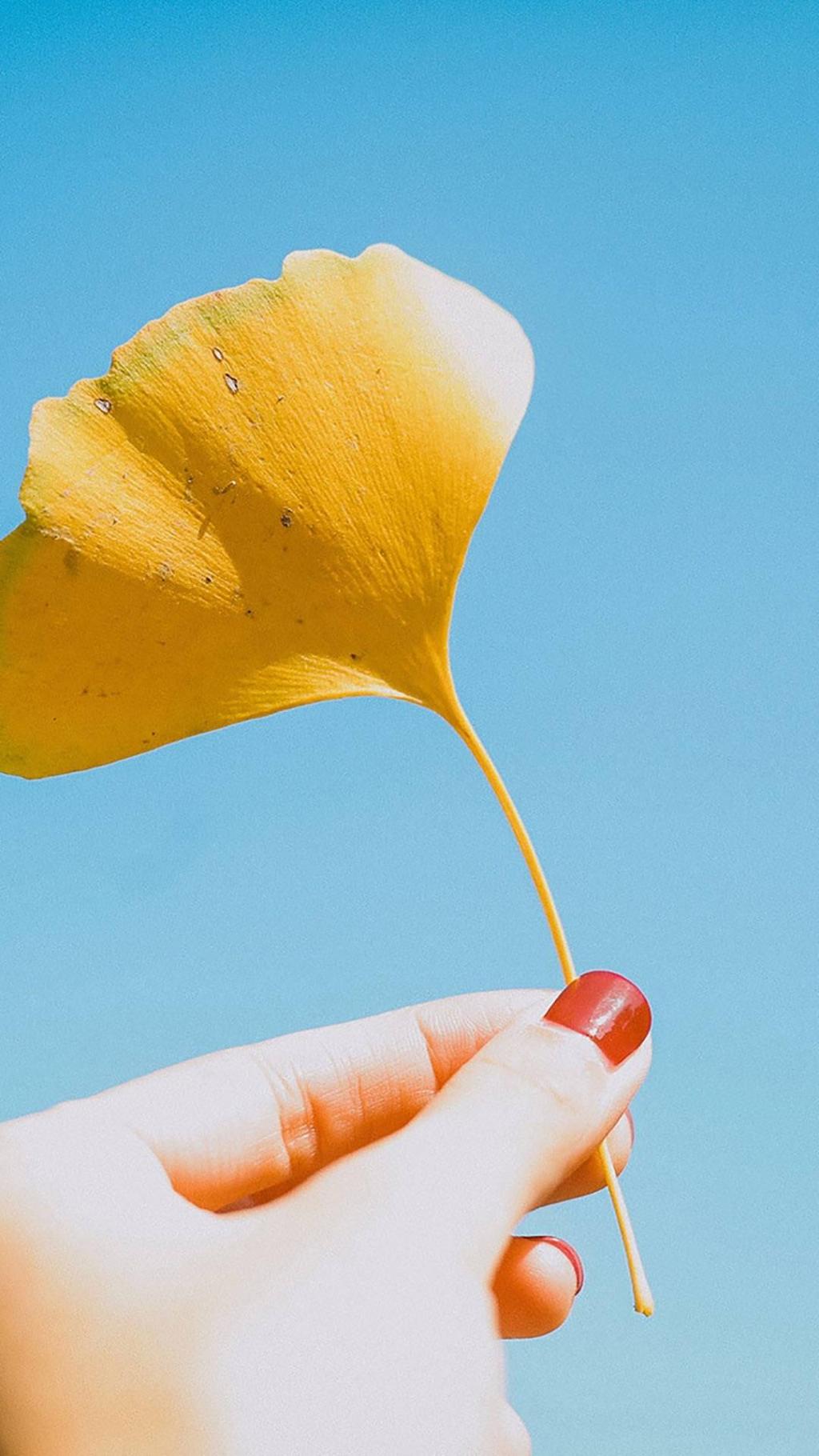 小清新静物摄影