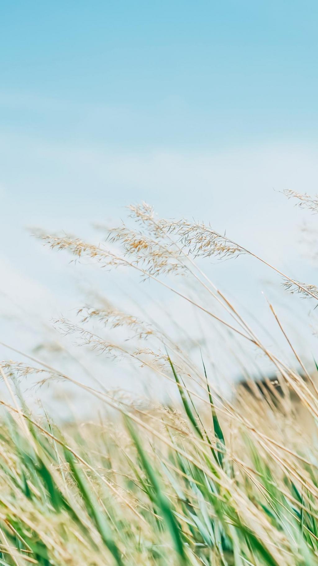 夏日小清新迷人自然风光