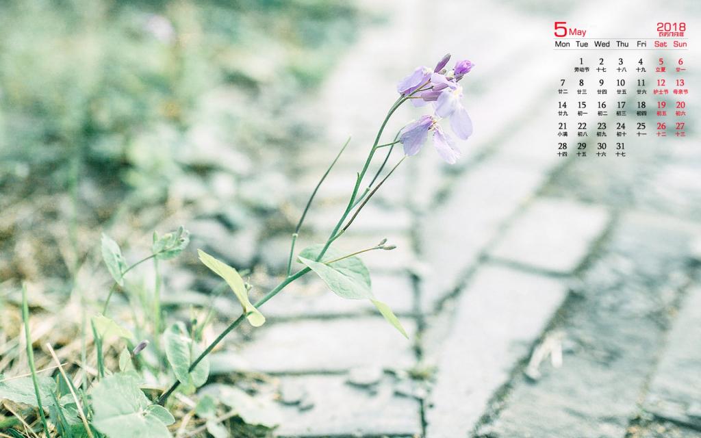 2018年5月绿色植物日历