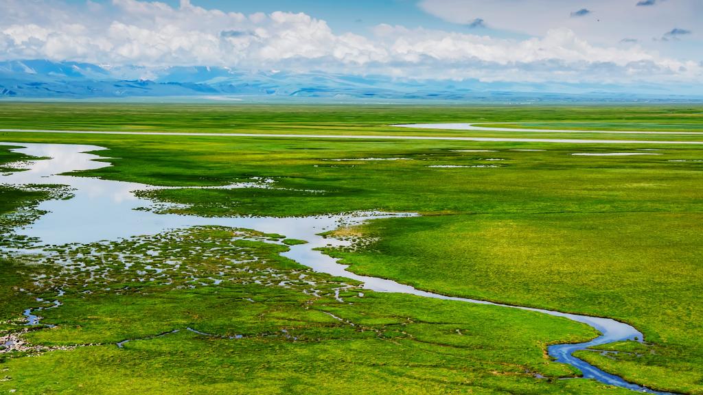 巴音布鲁克草原风景