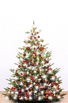 圣诞节在悄悄靠近-4