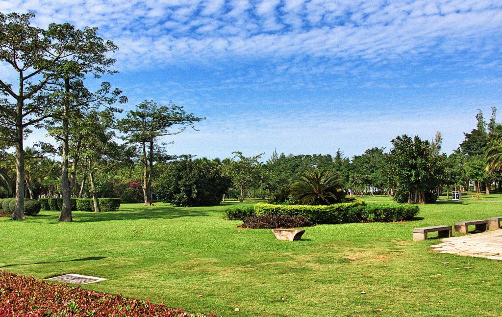 海南海口的美丽风光