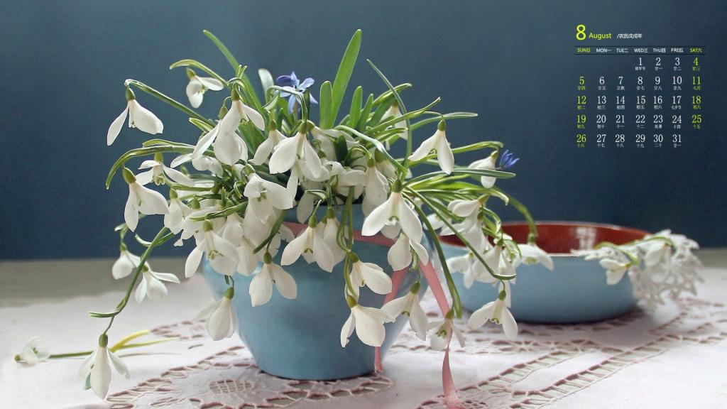 2018年8月楚楚动人的雪滴花写真日历