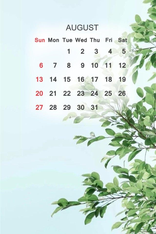 2017年8月简约风格日历