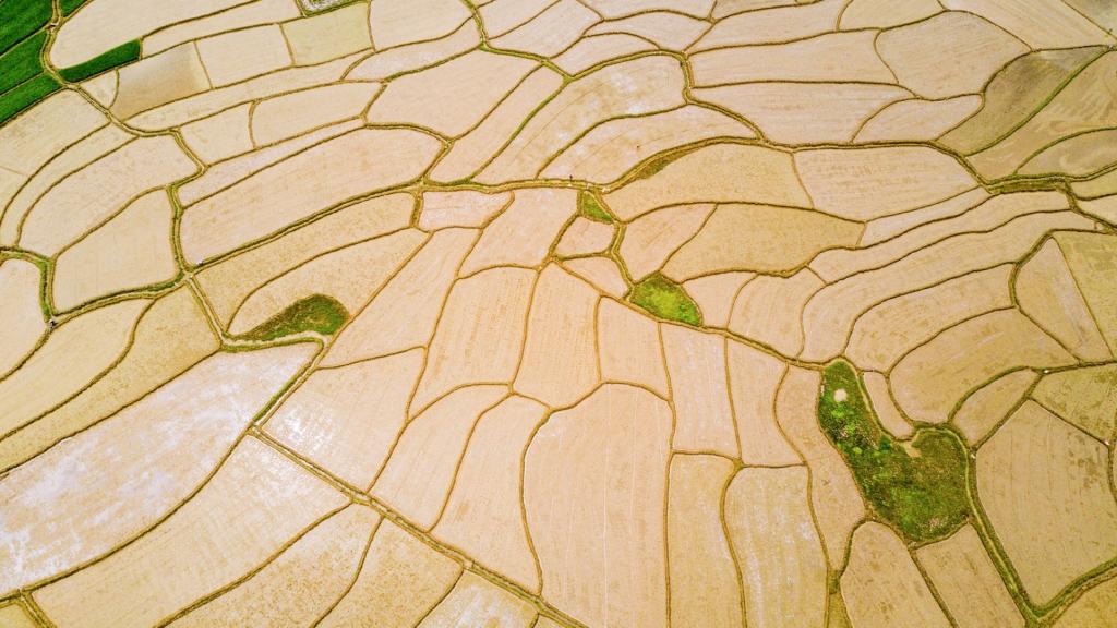 航拍田野清新护眼风景