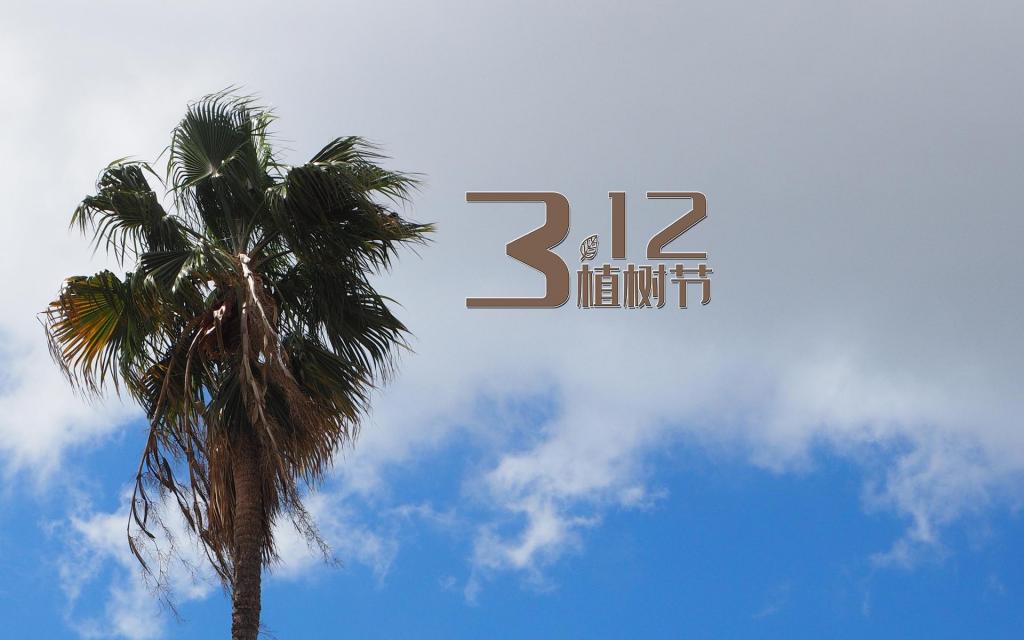 一年一度的植树节到来