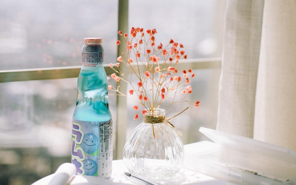 室内小清闲花卉