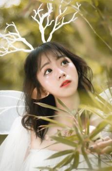 层林鹿仙子写真-1