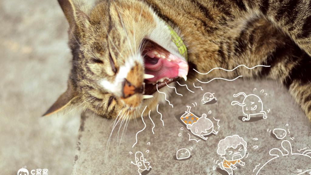 恶搞喵星人(猫咪)