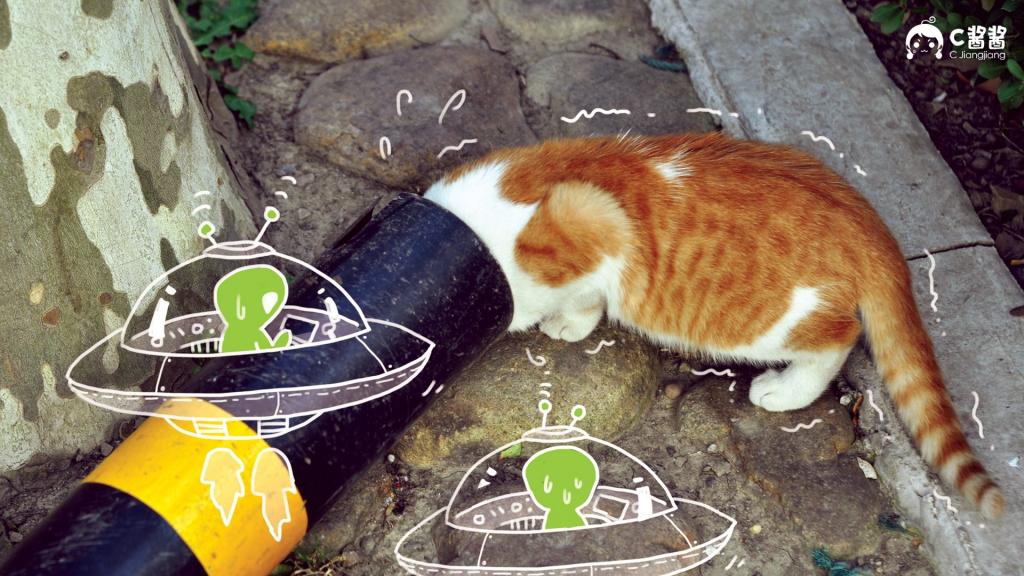 恶搞喵星人(猫咪)