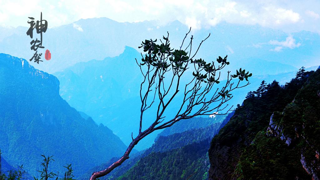 世界地质公园之神农架