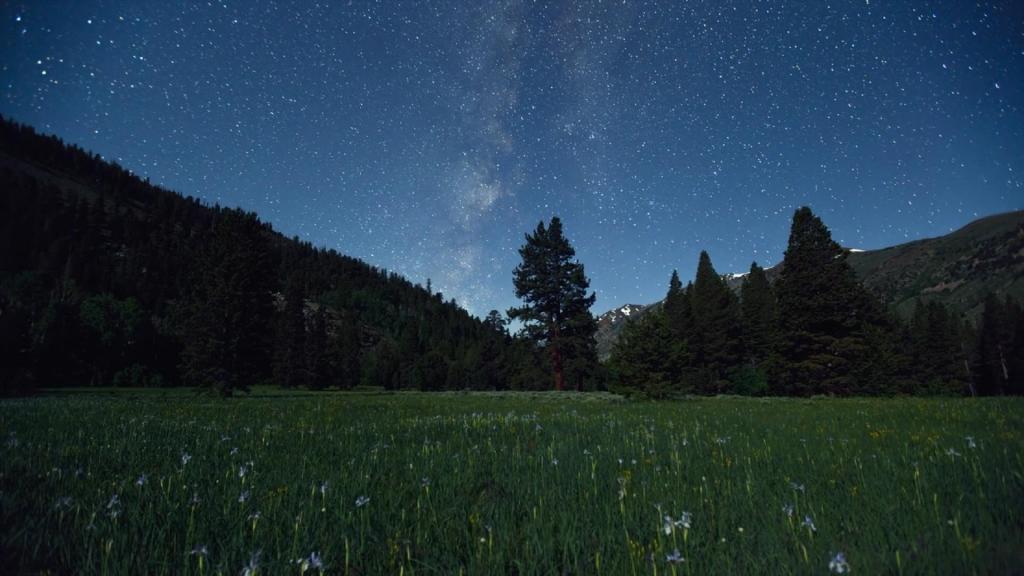 夜幕下的自然风景摄影